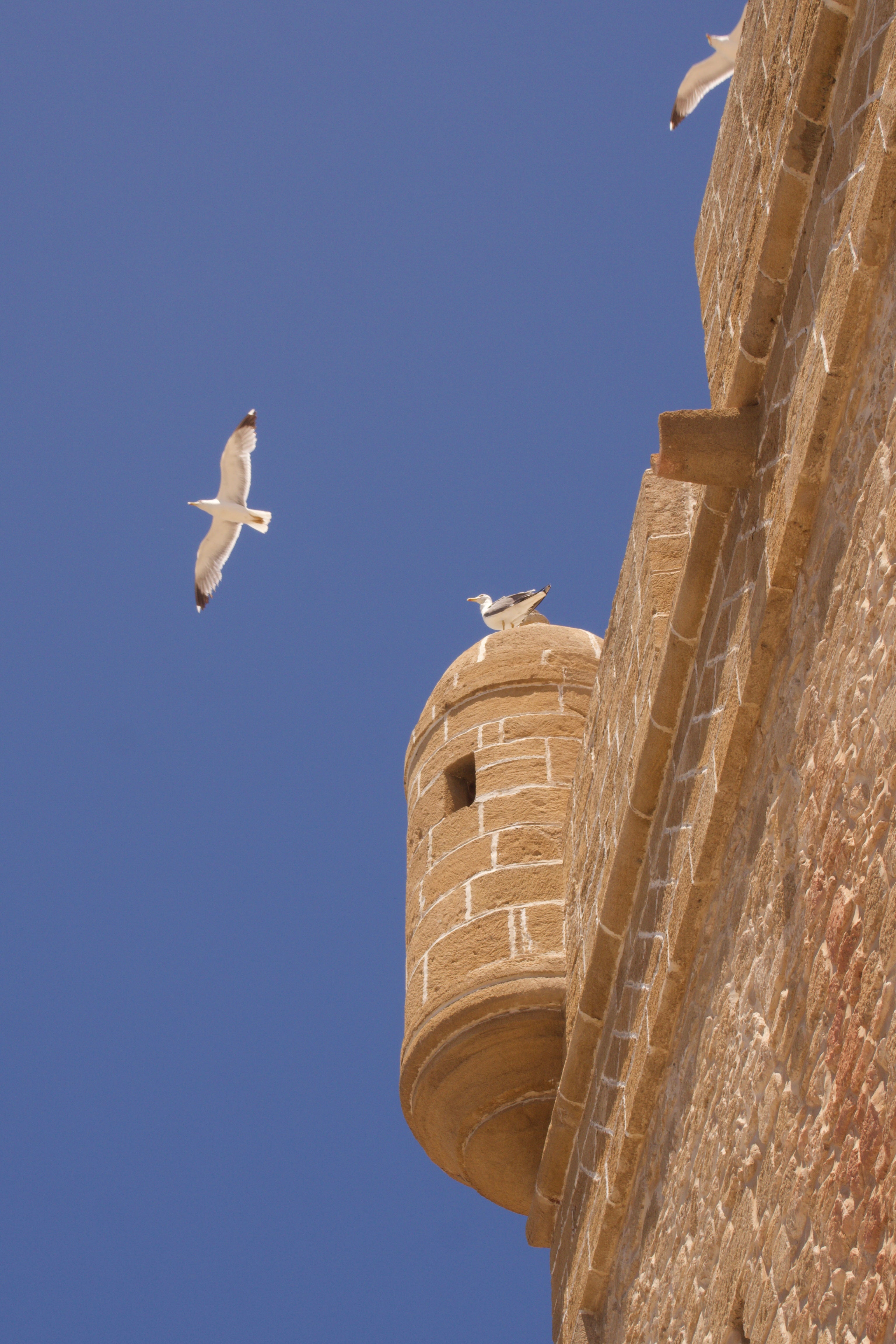 The Gift of Being Highly Sensitive in Islam - A Spiritual Strength