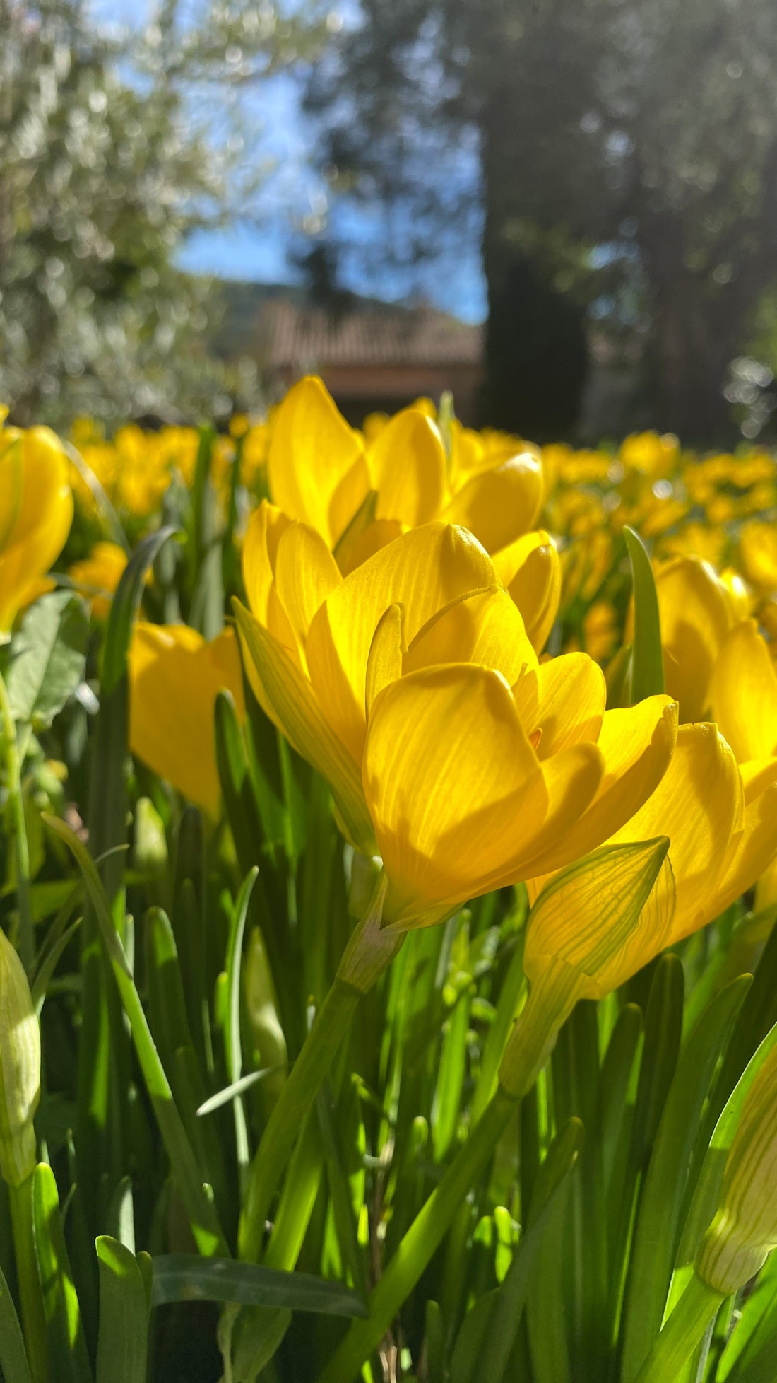 The 30-Day Transformation Challenge with Dhikr